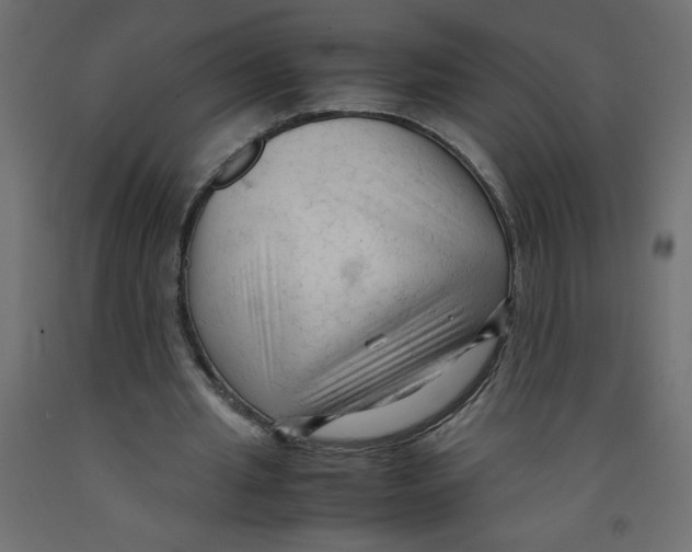 X0000092310437200710121501