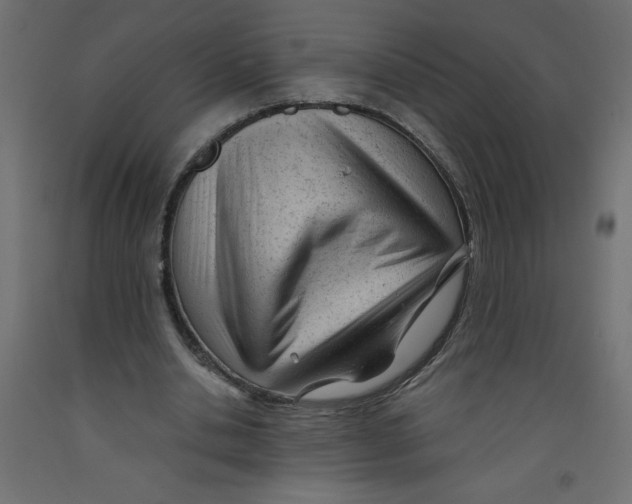 X0000092310438200710121501