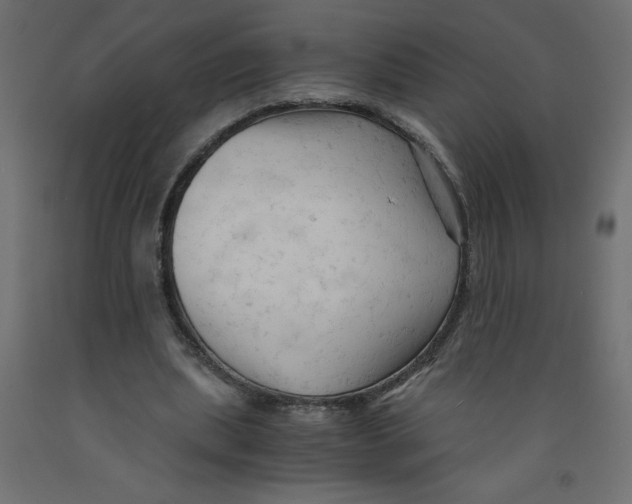 X0000092310439200710121501