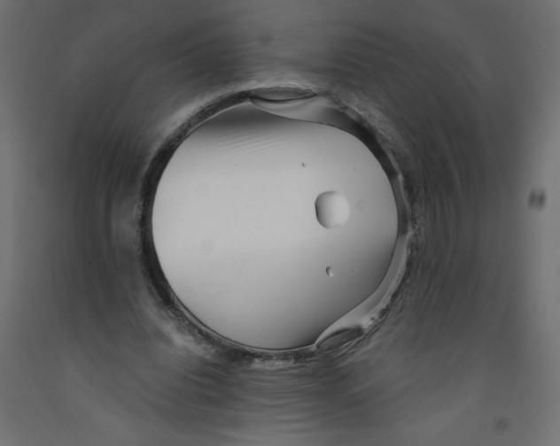 X0000092310440200710121501