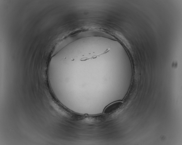 X0000092310441200710121501