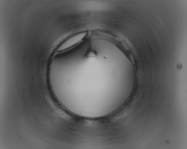 X0000092310442200710121501