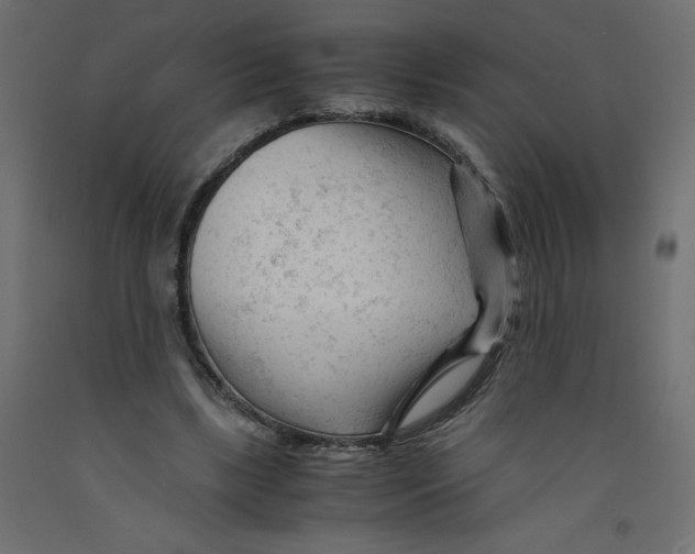 X0000092310443200710121501