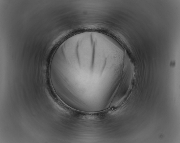 X0000092310444200710121501