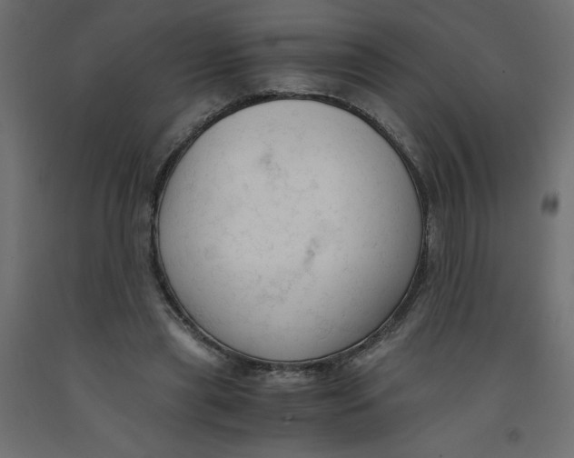 X0000092310445200710121501