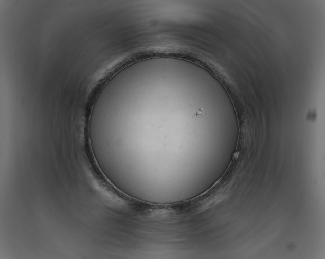 X0000092310446200710121501
