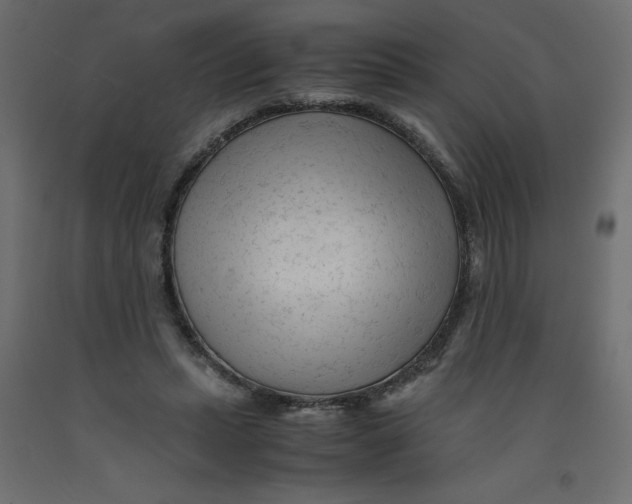 X0000092310447200710121501