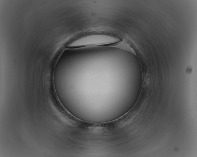 X0000092310448200710121501