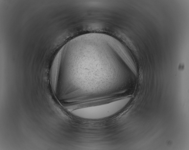X0000092310449200710121501