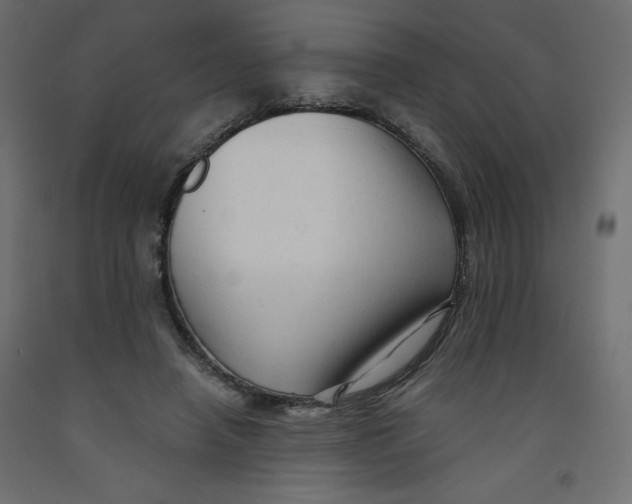 X0000092310450200710121501