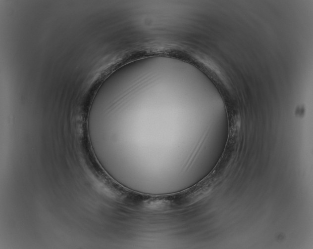 X0000092310452200710121501