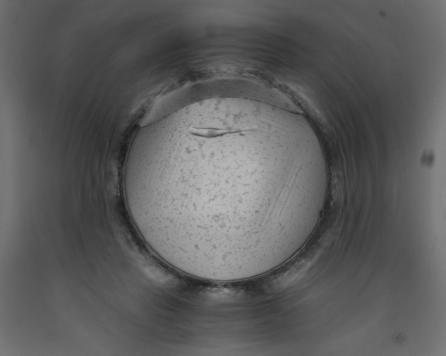 X0000092310453200710121501