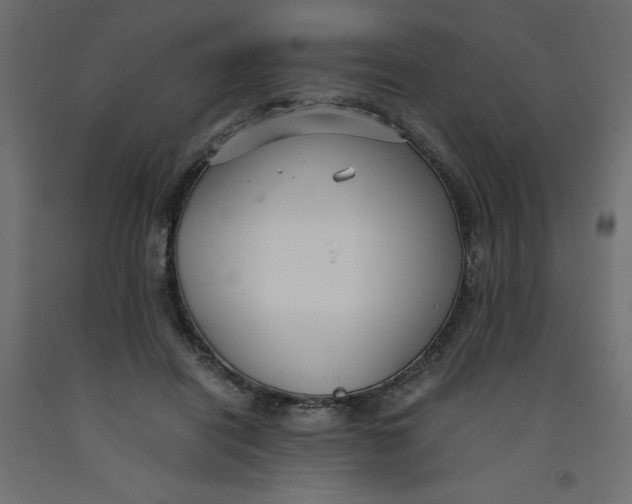 X0000092310454200710121502