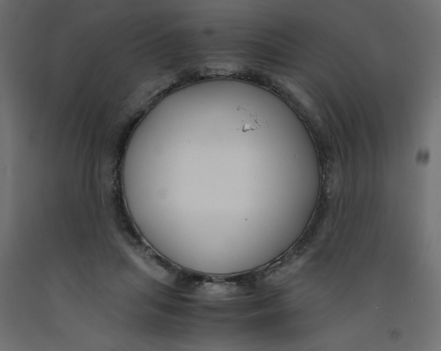 X0000092310455200710121502