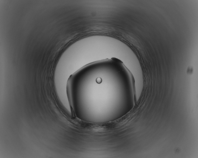 X0000092310456200710121502