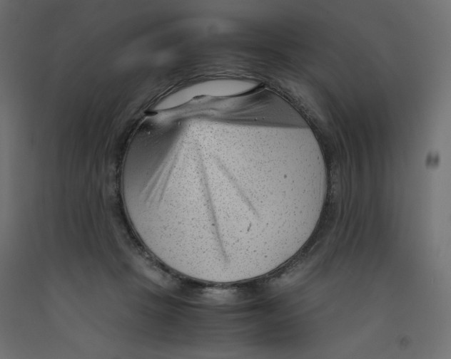 X0000092310457200710121502