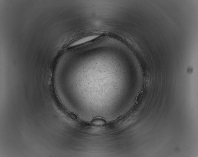 X0000092310458200710121502