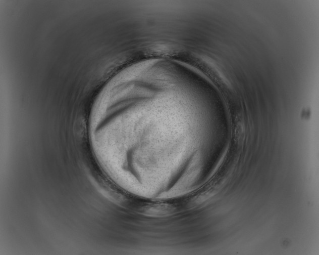 X0000092310459200710121502