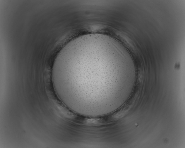 X0000092310461200710121502