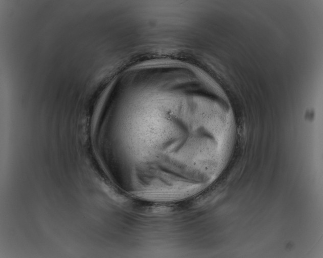 X0000092310462200710121502