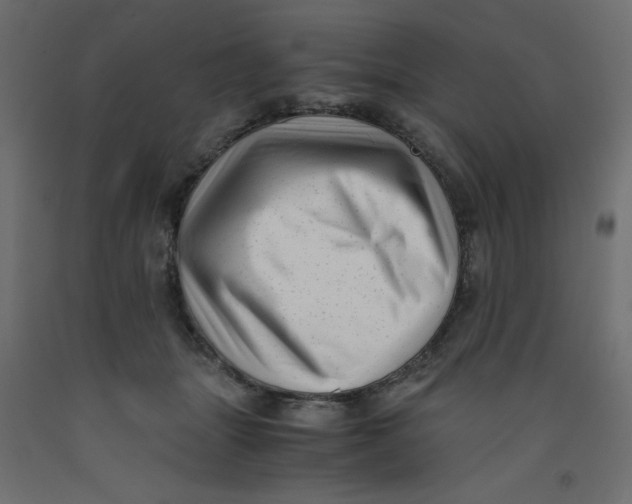 X0000092310463200710121502