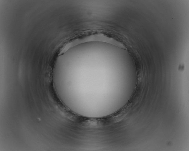 X0000092310464200710121502