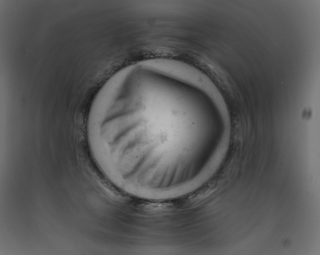 X0000092310465200710121502