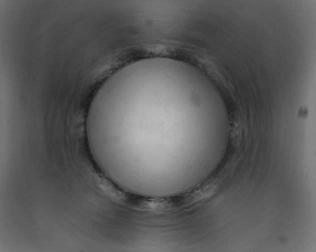 X0000092310466200710121502