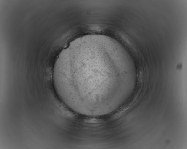 X0000092310467200710121502