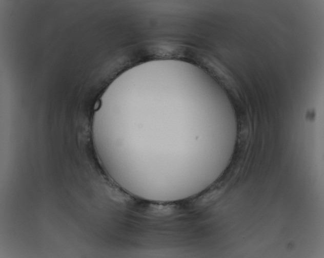 X0000092310469200710121502