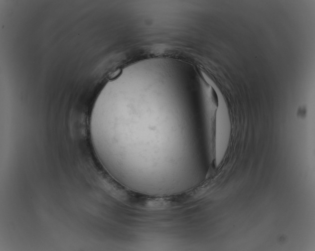 X0000092310470200710121502