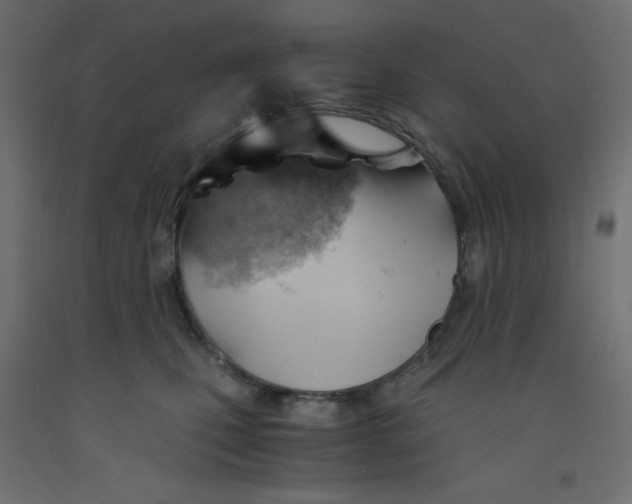 X0000092310471200710121502