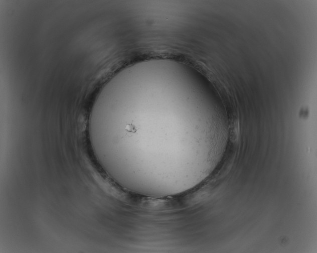 X0000092310472200710121502