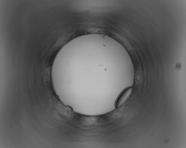 X0000092310473200710121502