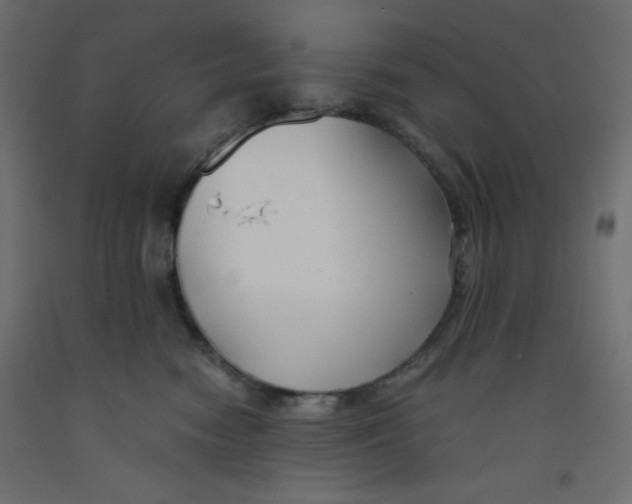X0000092310474200710121502