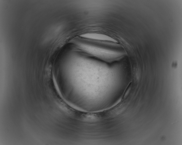 X0000092310475200710121502