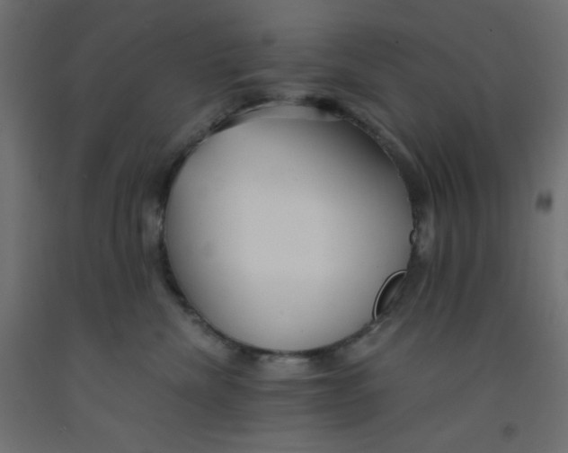 X0000092310476200710121502