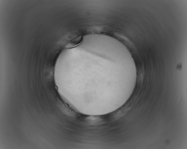 X0000092310477200710121502
