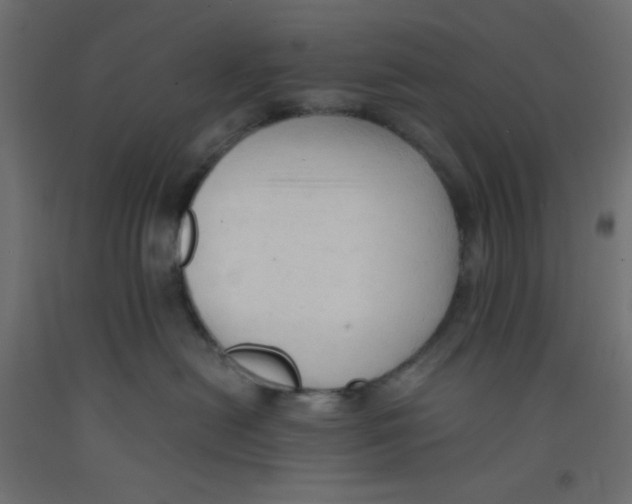X0000092310478200710121502