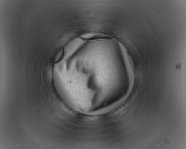 X0000092310479200710121502