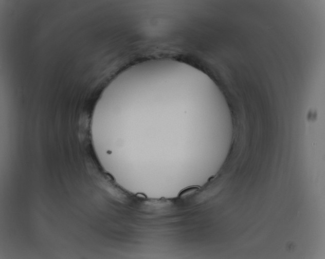 X0000092310480200710121502