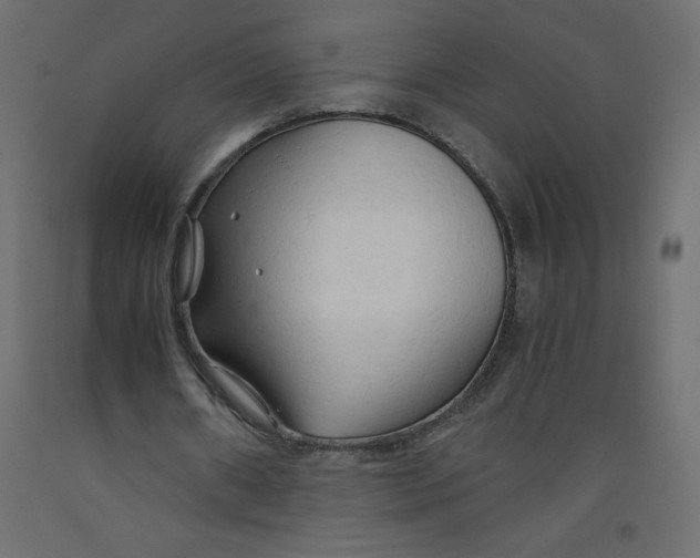 X0000092310482200710121501