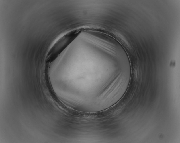 X0000092310484200710121501