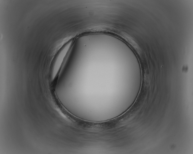 X0000092310485200710121501