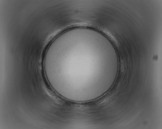 X0000092310486200710121501