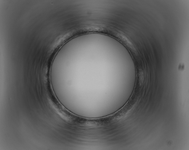X0000092310490200710121501