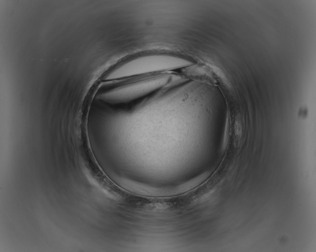 X0000092310492200710121501