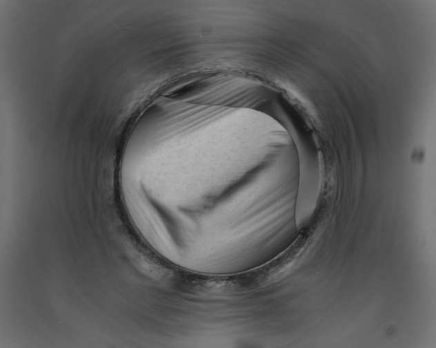 X0000092310493200710121501