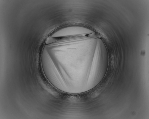 X0000092310494200710121501