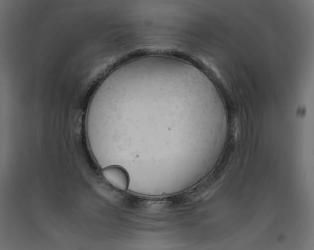 X0000092310495200710121501